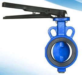 ci-butterfly-valve-castle
